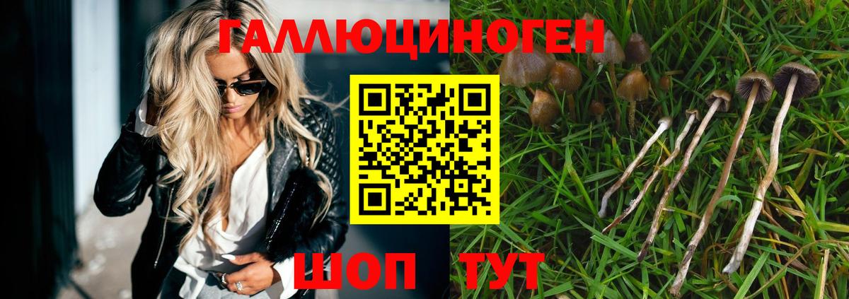 Галлюциногенные грибы мицелий  Вход с VPN  Псилоцибиновые грибы MAGIC MUSHROOMS  сколько стоит  Татарск 